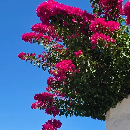 Smaragdi Traditional Mansion In Chora